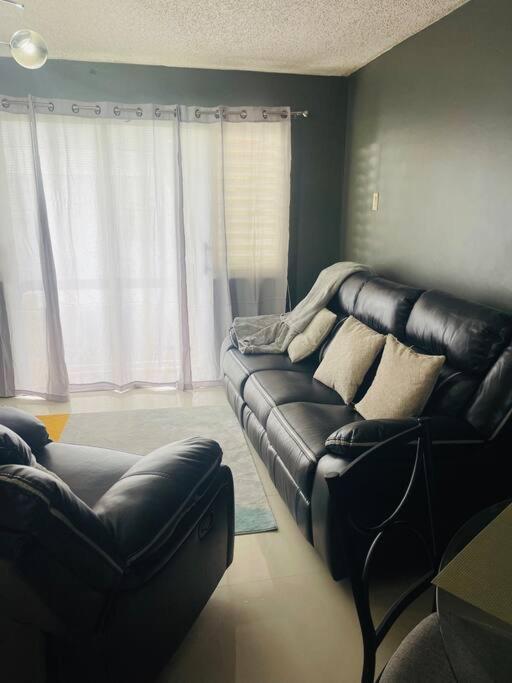 New Kingston Retreat Apartment Екстериор снимка