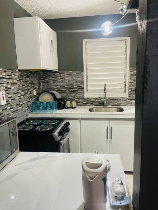 New Kingston Retreat Apartment Екстериор снимка