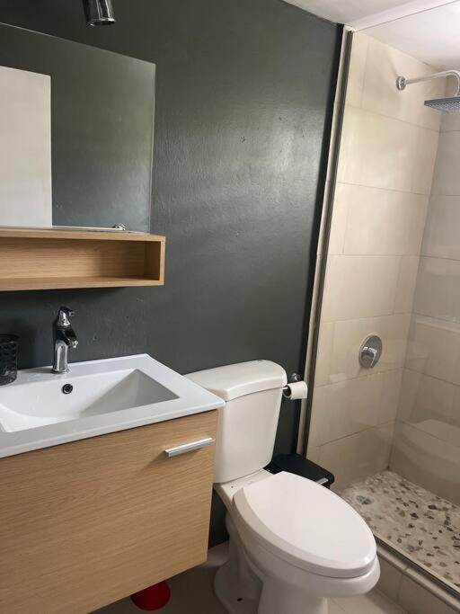 New Kingston Retreat Apartment Екстериор снимка