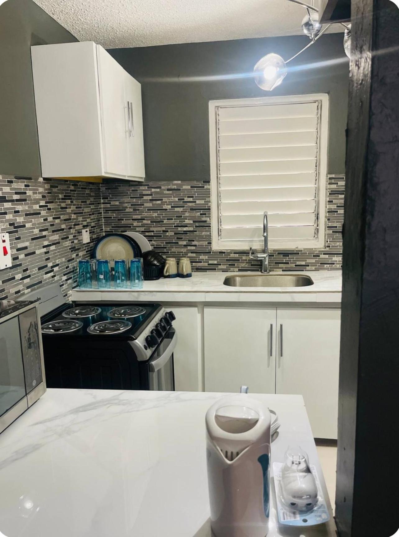 New Kingston Retreat Apartment Екстериор снимка